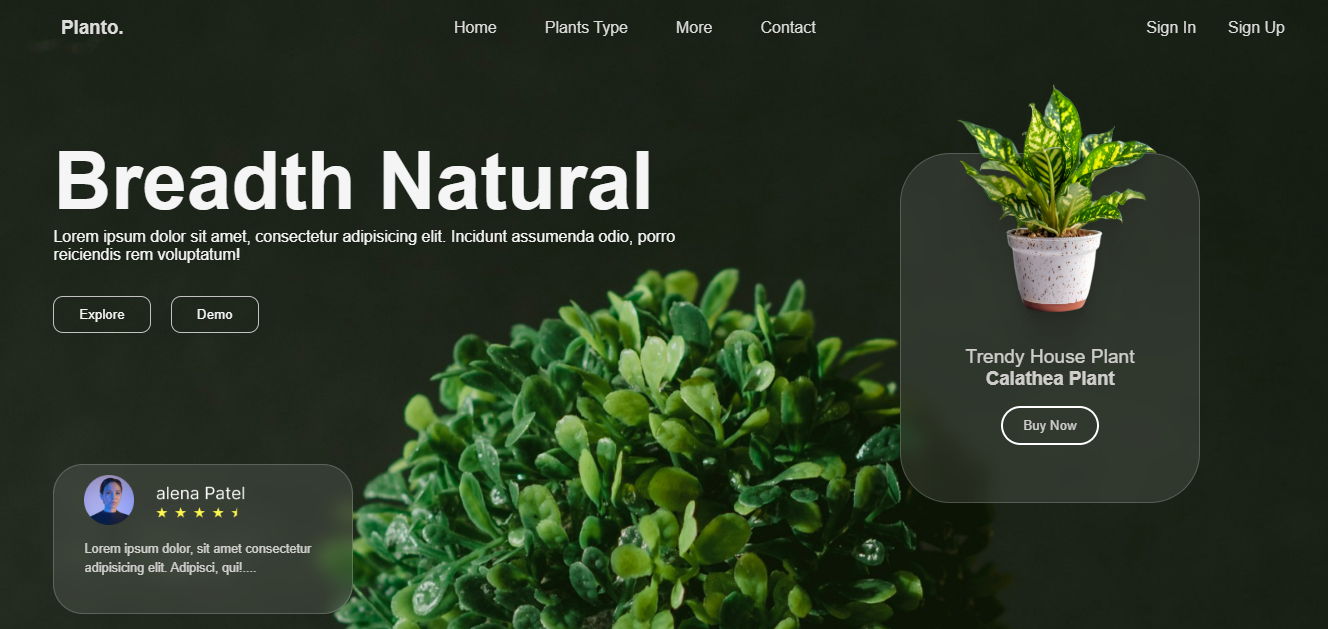Planto Website